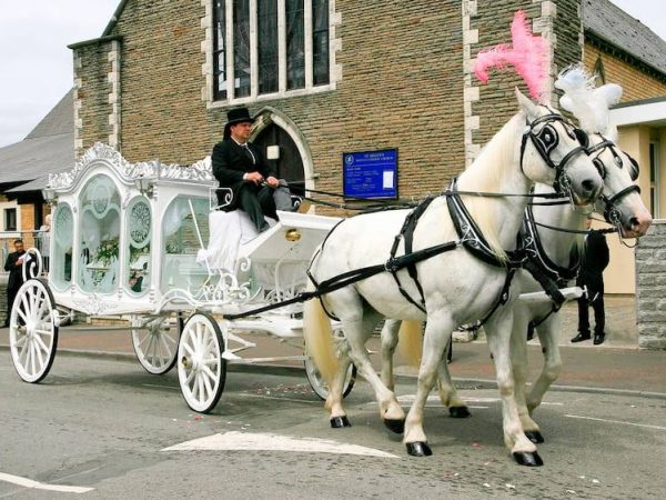 White funeral horse and carriage outside church